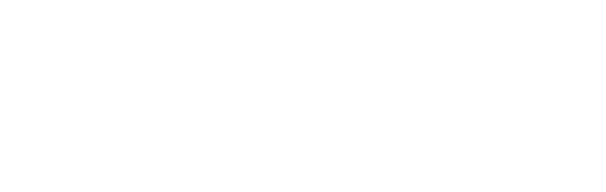 W Johnson Printing on white logo